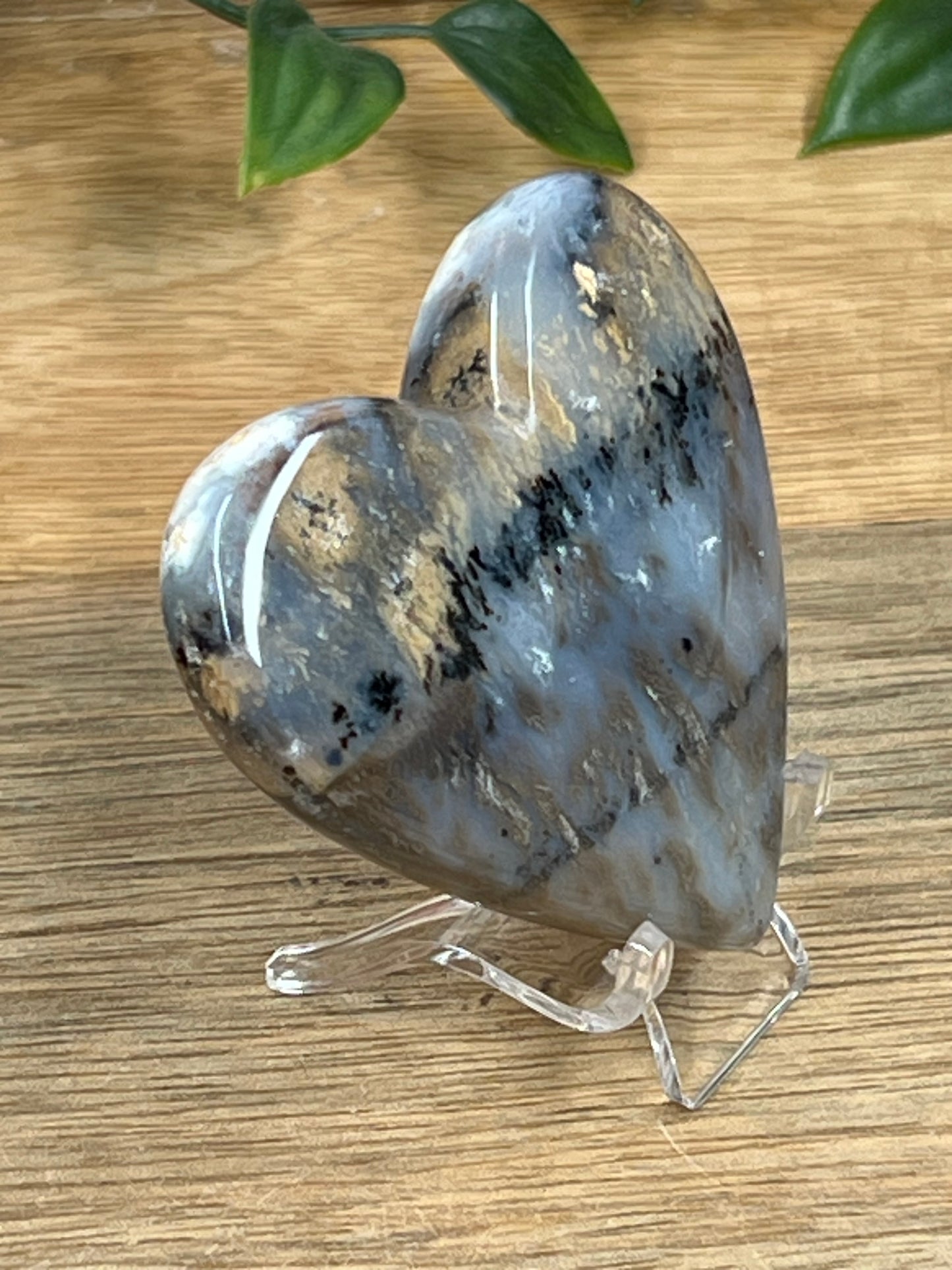 Dendritic Tiger Agate Heart
