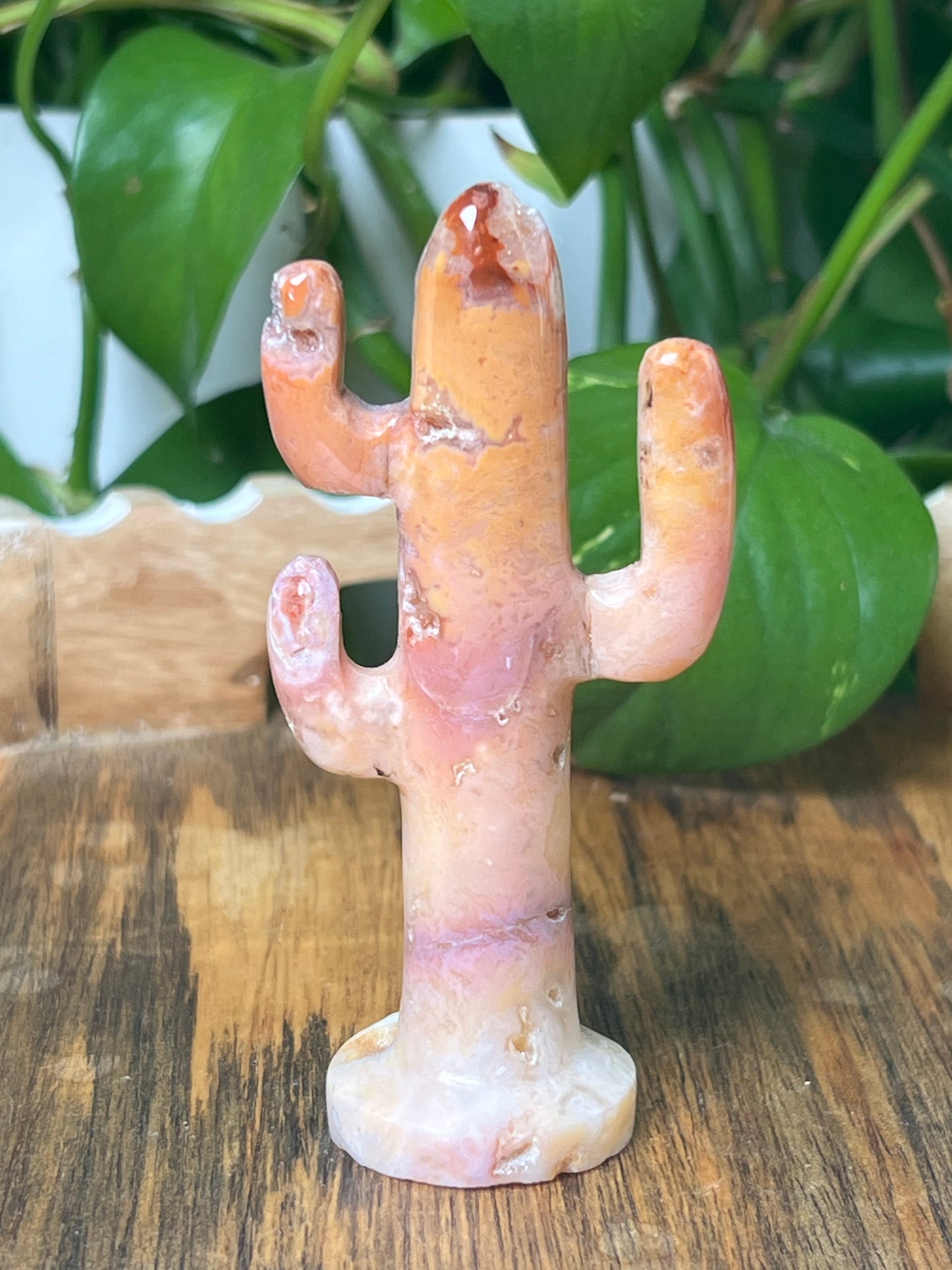 Pink Carnelian Cactus
