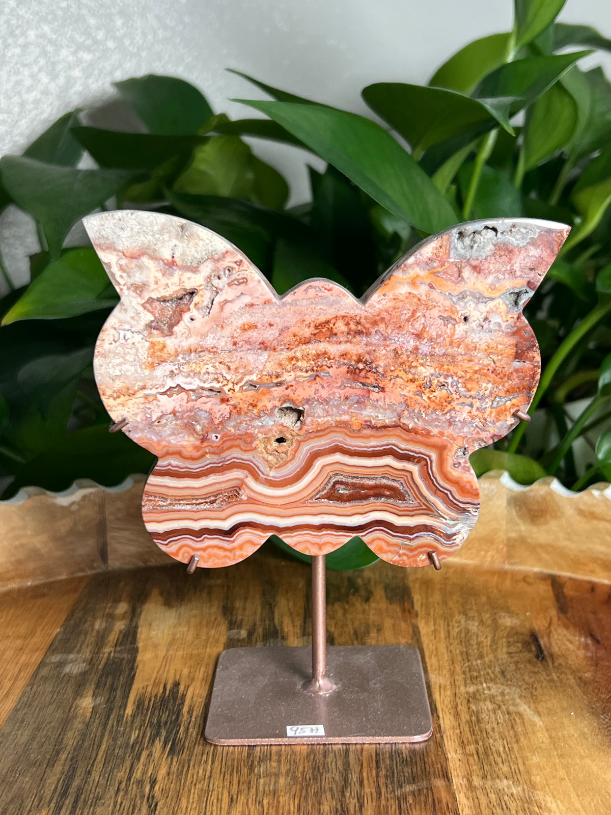 Crazy Lace Agate Butterfly: H