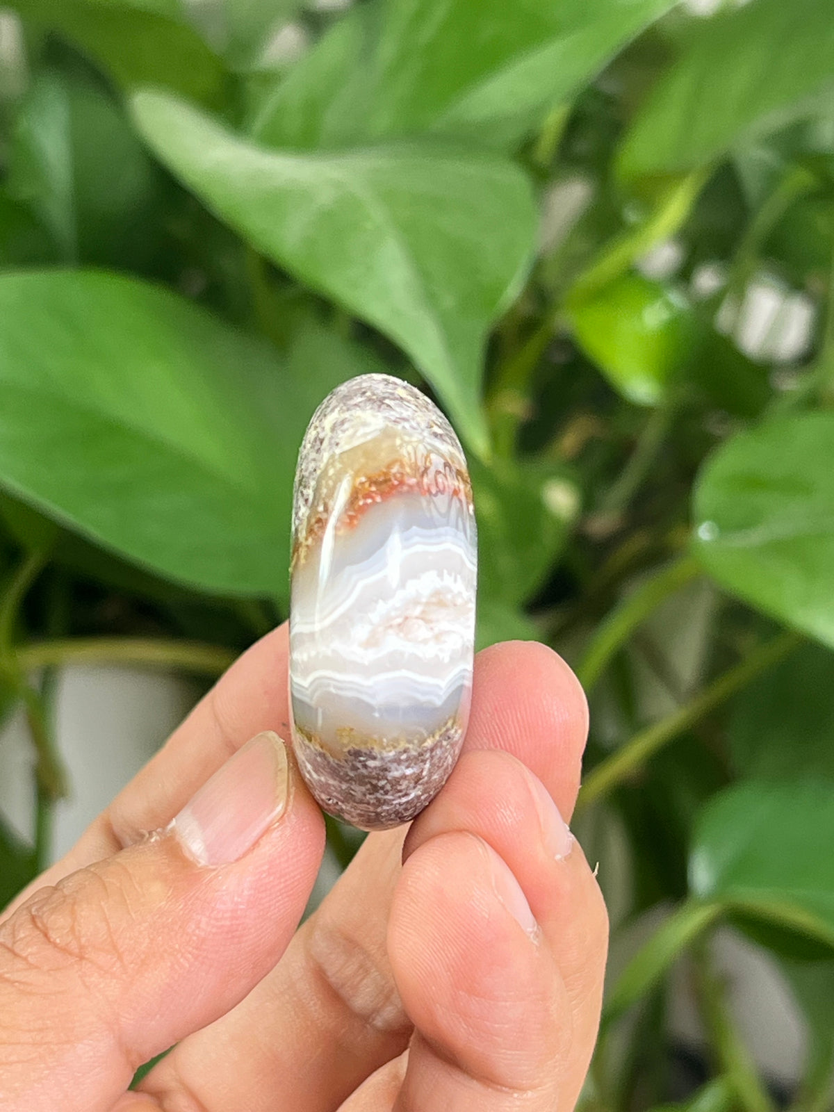 Scenic Moss Agate Palmstone: BF