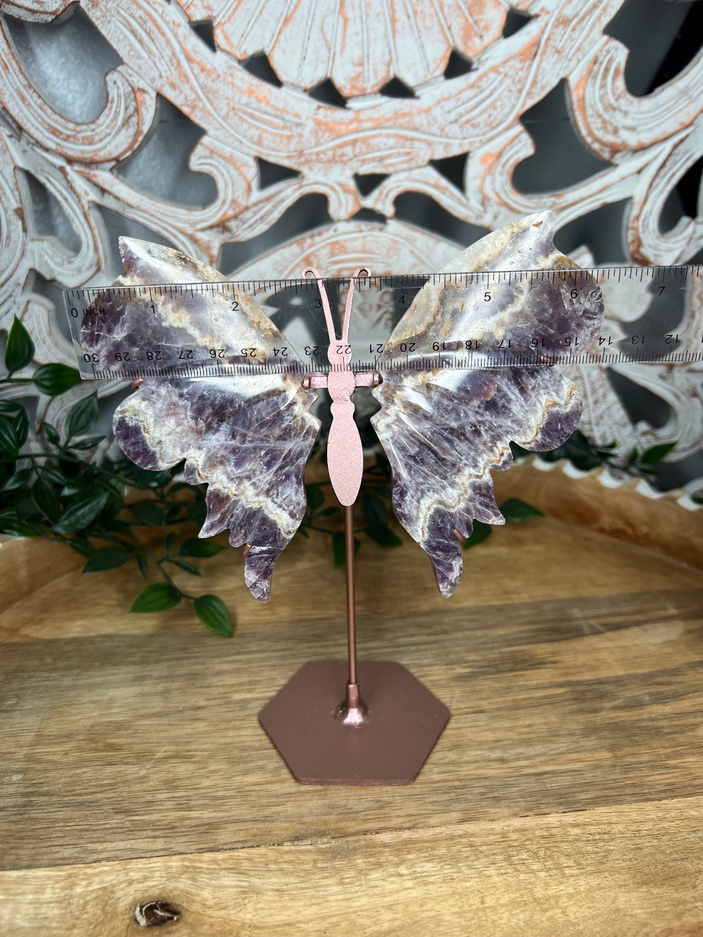 Indonesian Amethyst Wings