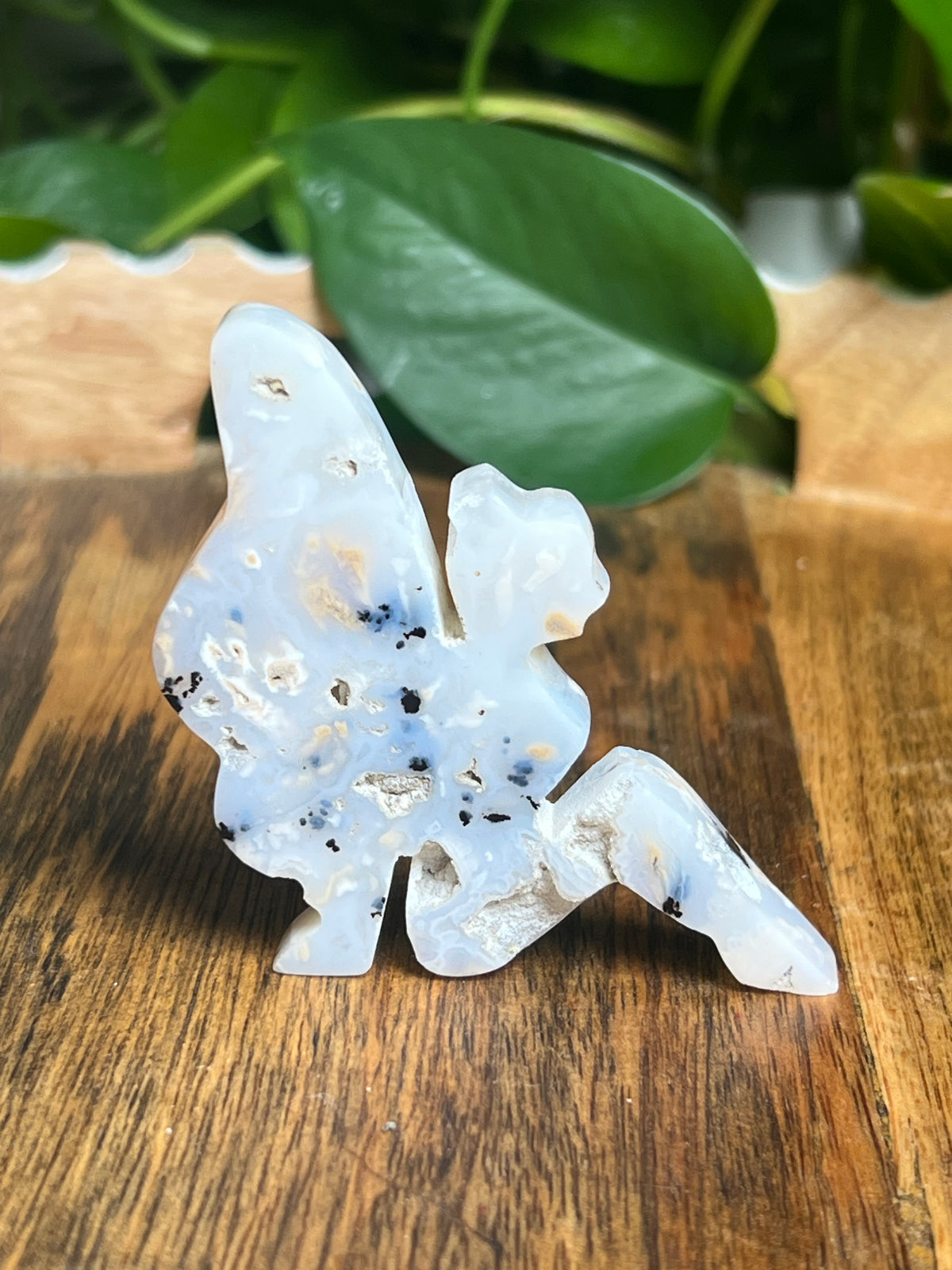Dendritic Tiger Agate Fairy: AA