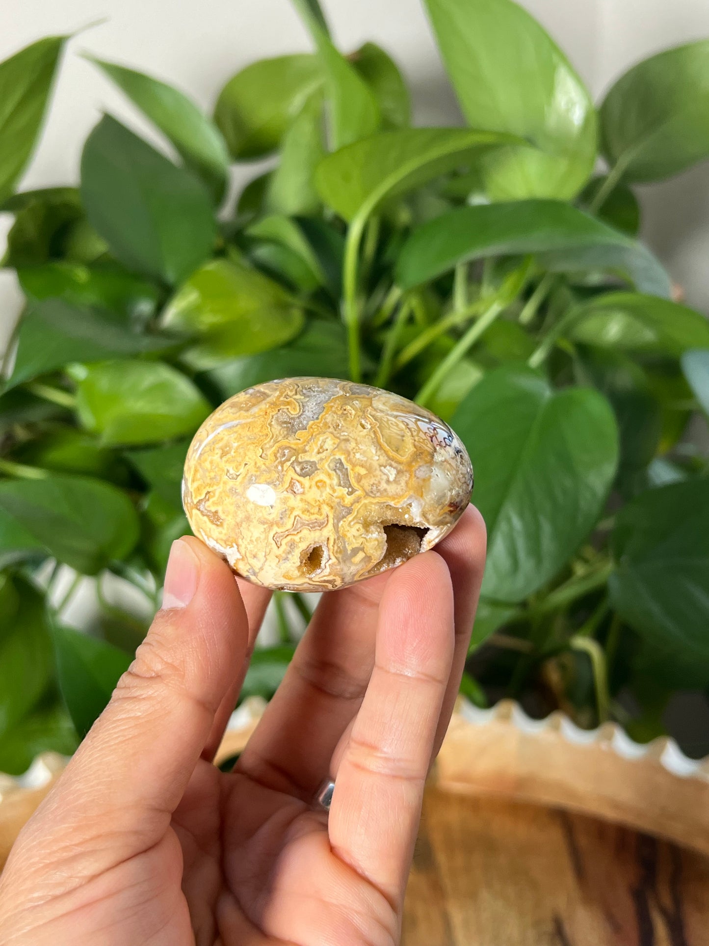 Crazy Lace Agate Egg