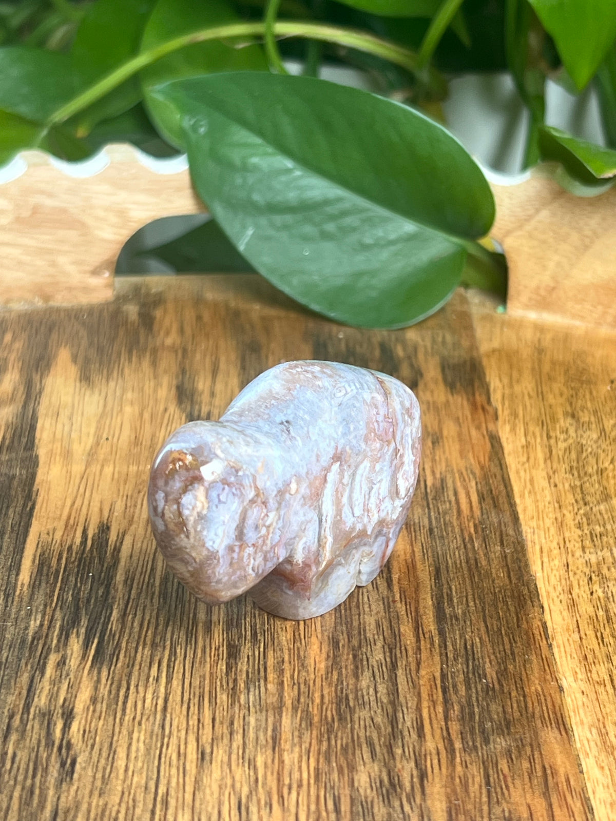 Sumatra Plume Agate Mini Buffalo: DC
