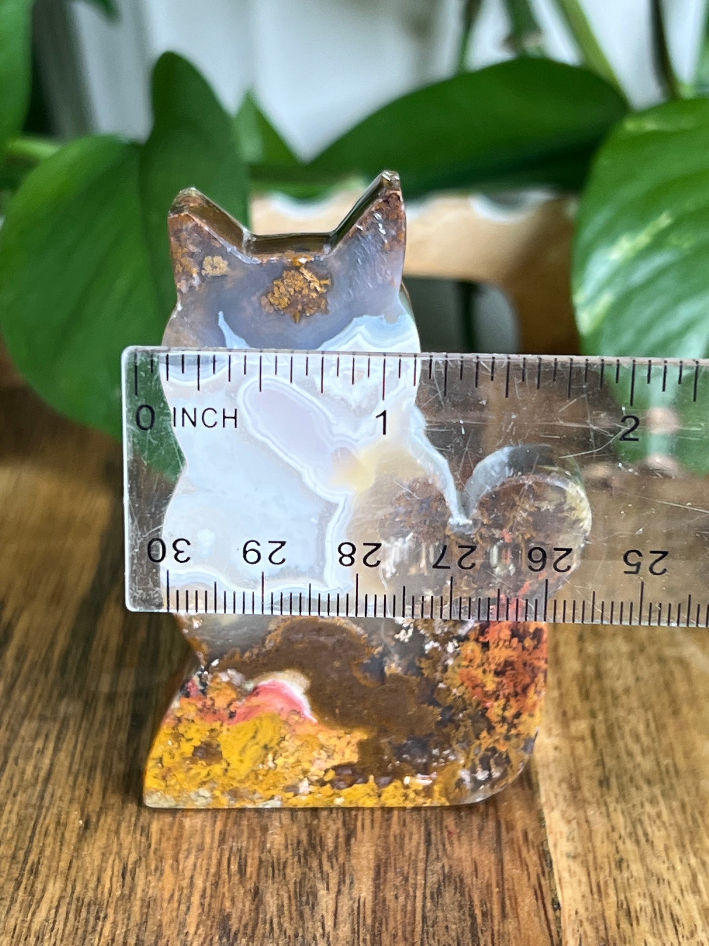 Scenic Moss Agate Cat HY