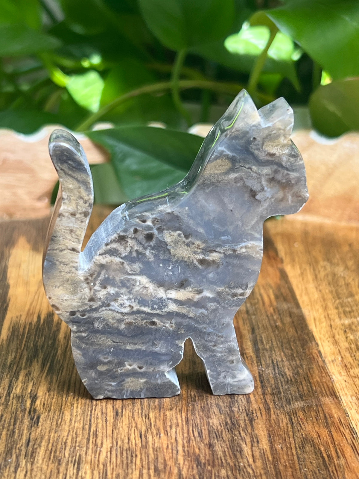 Dendritic Tiger Agate Cat: Qi