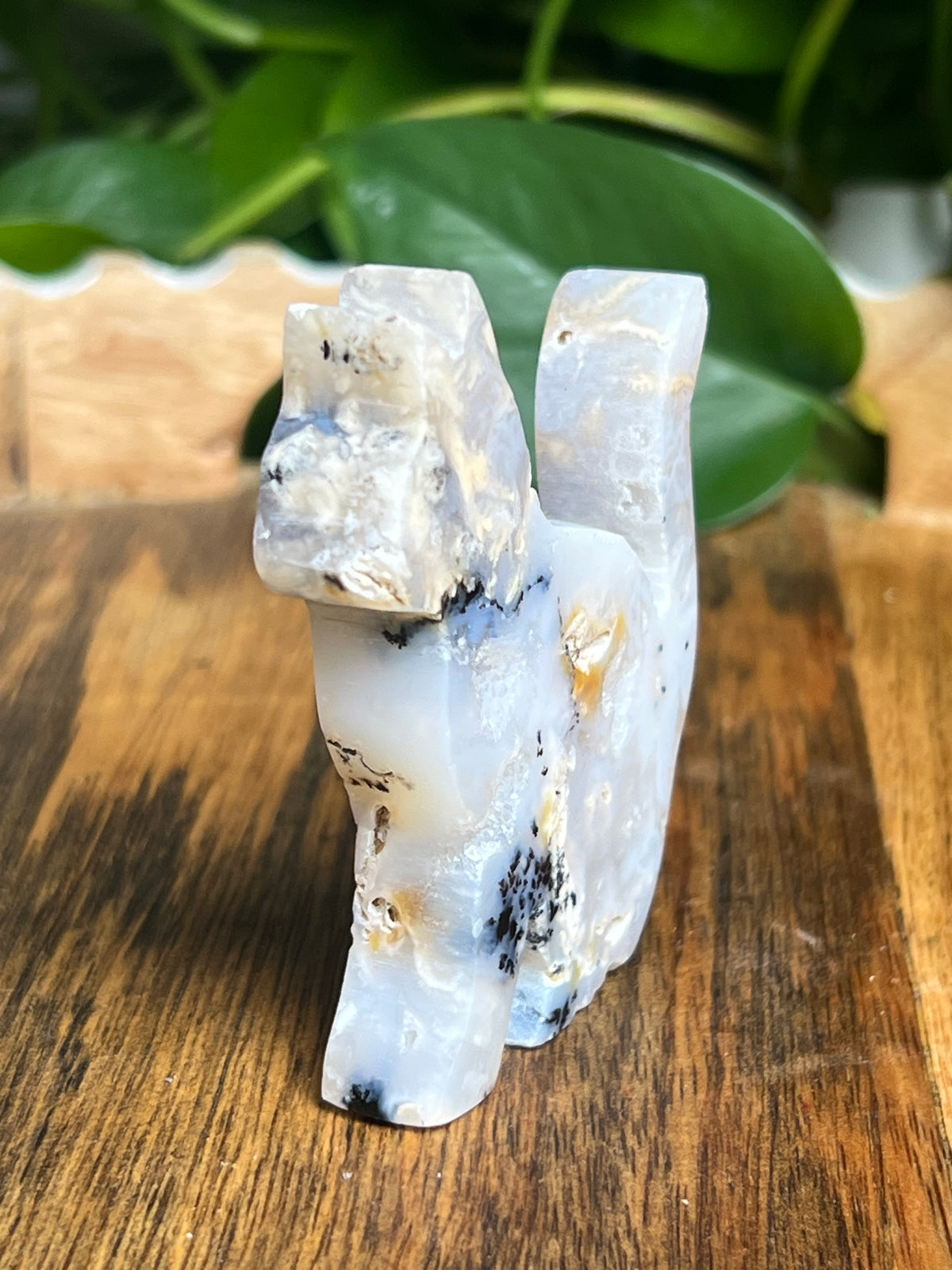 Dendritic Tiger Agate Cat: PC