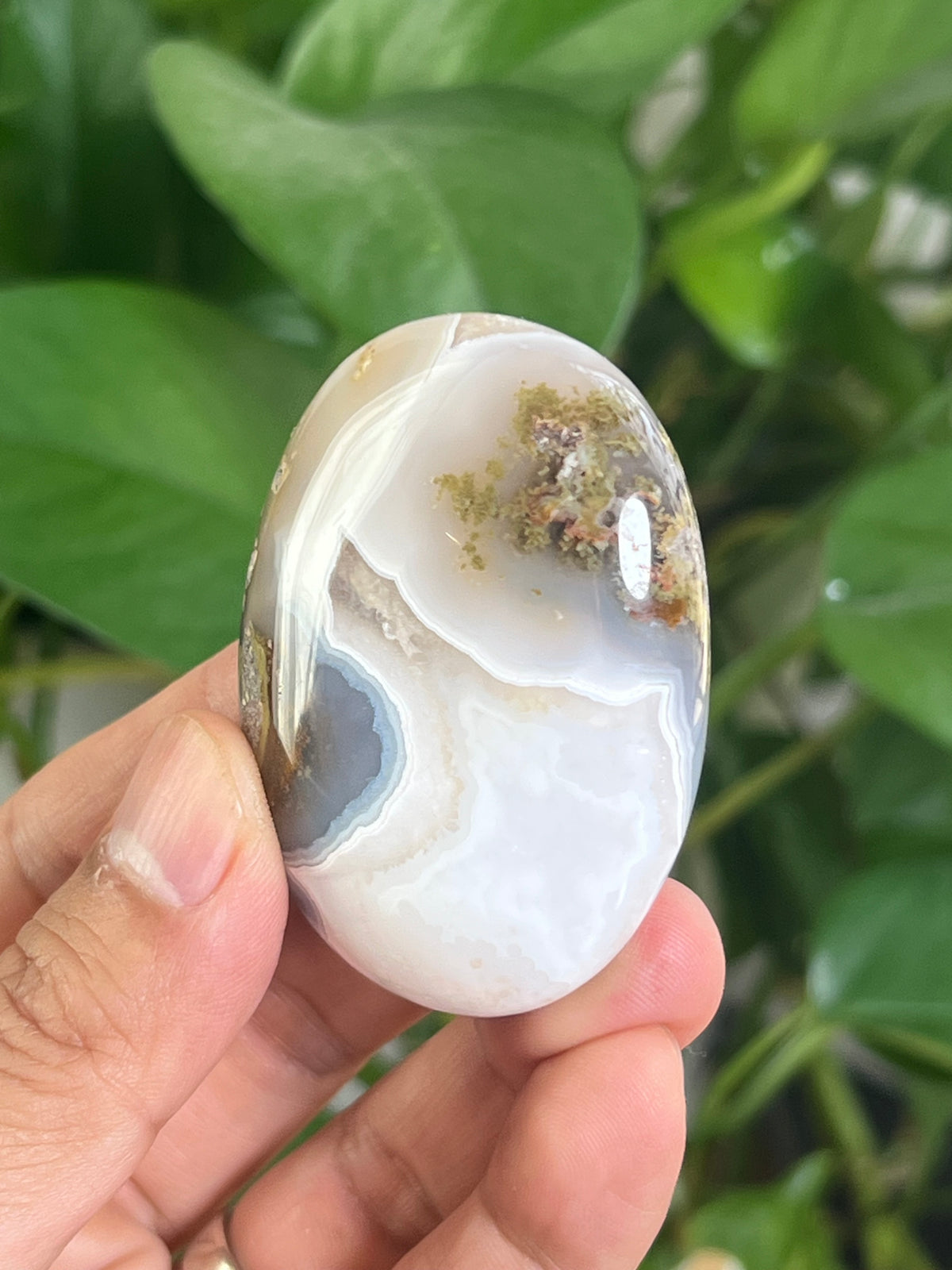 Scenic Moss Agate Palmstone: CA