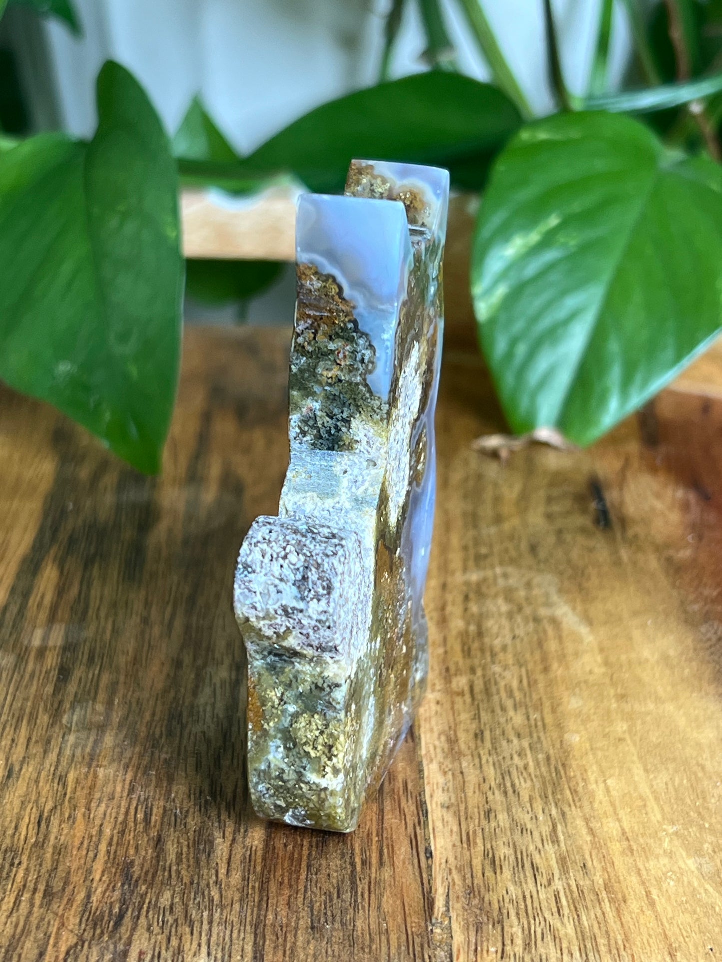Scenic Moss Agate Cat HD