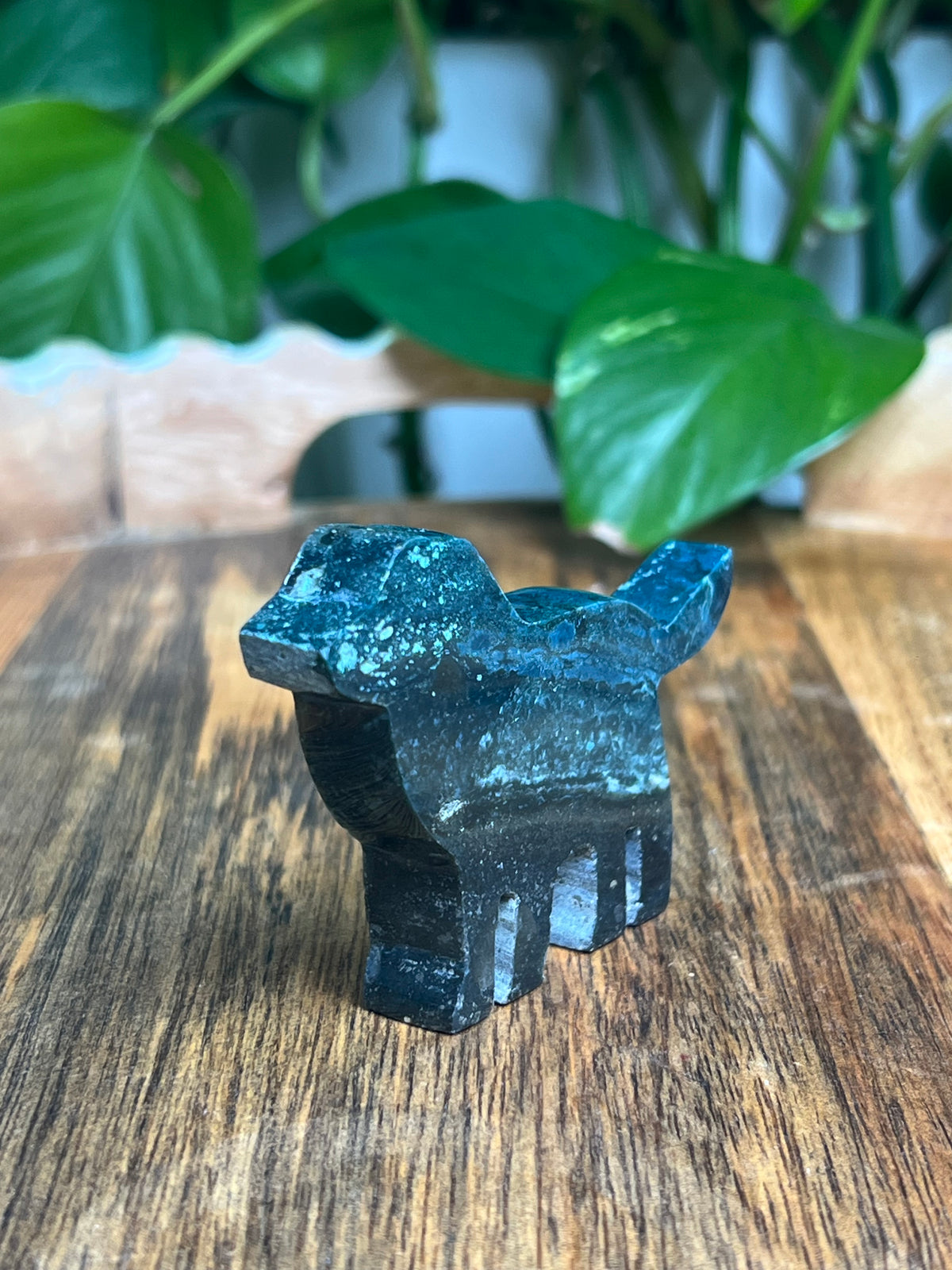 Blue Green Jasper Dog: BB