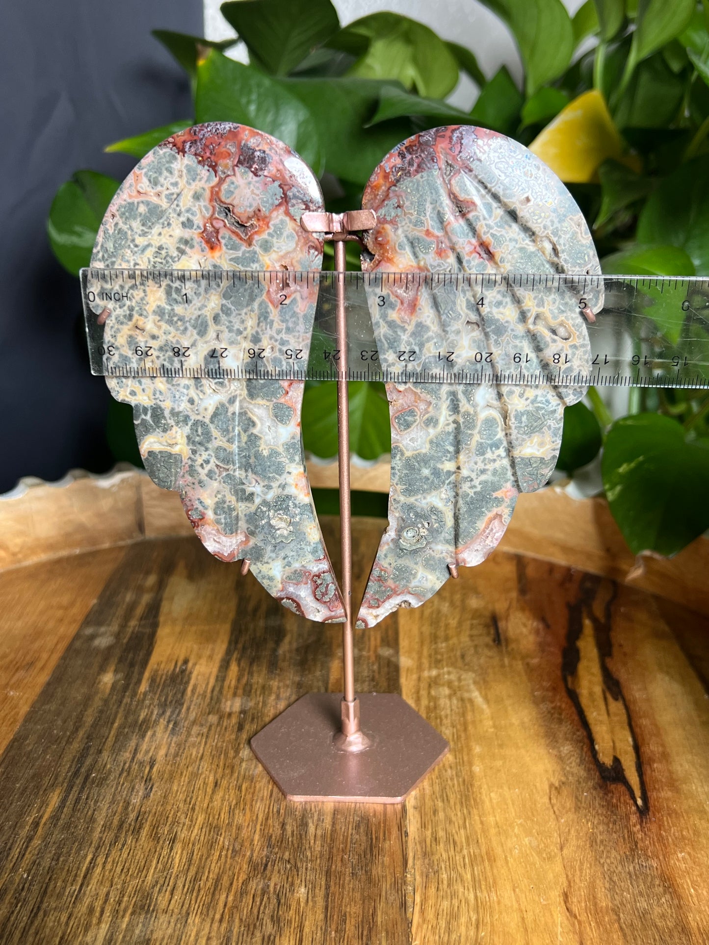 Marcasite Wings