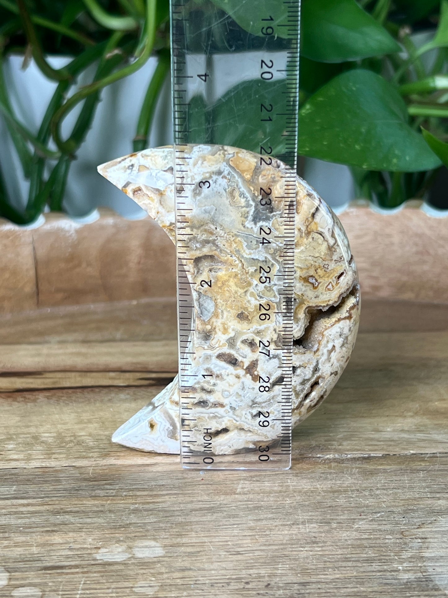 Crazy Lace Agate Moon