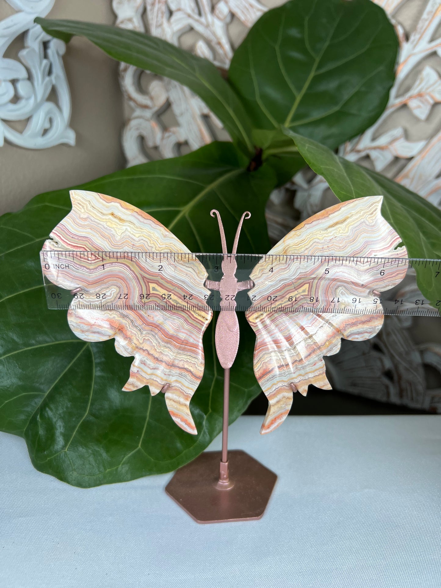 Crazy Lace Agate Wings