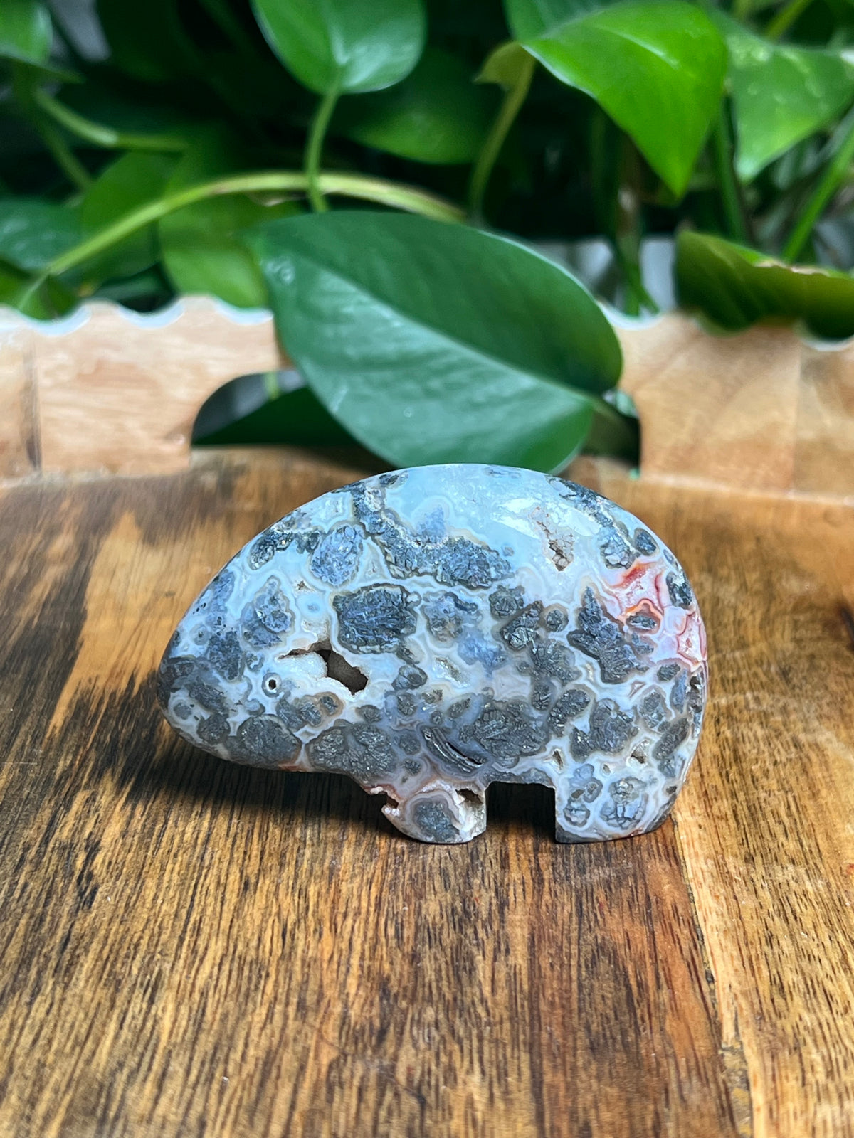 Marcasite Mini Bear: PR