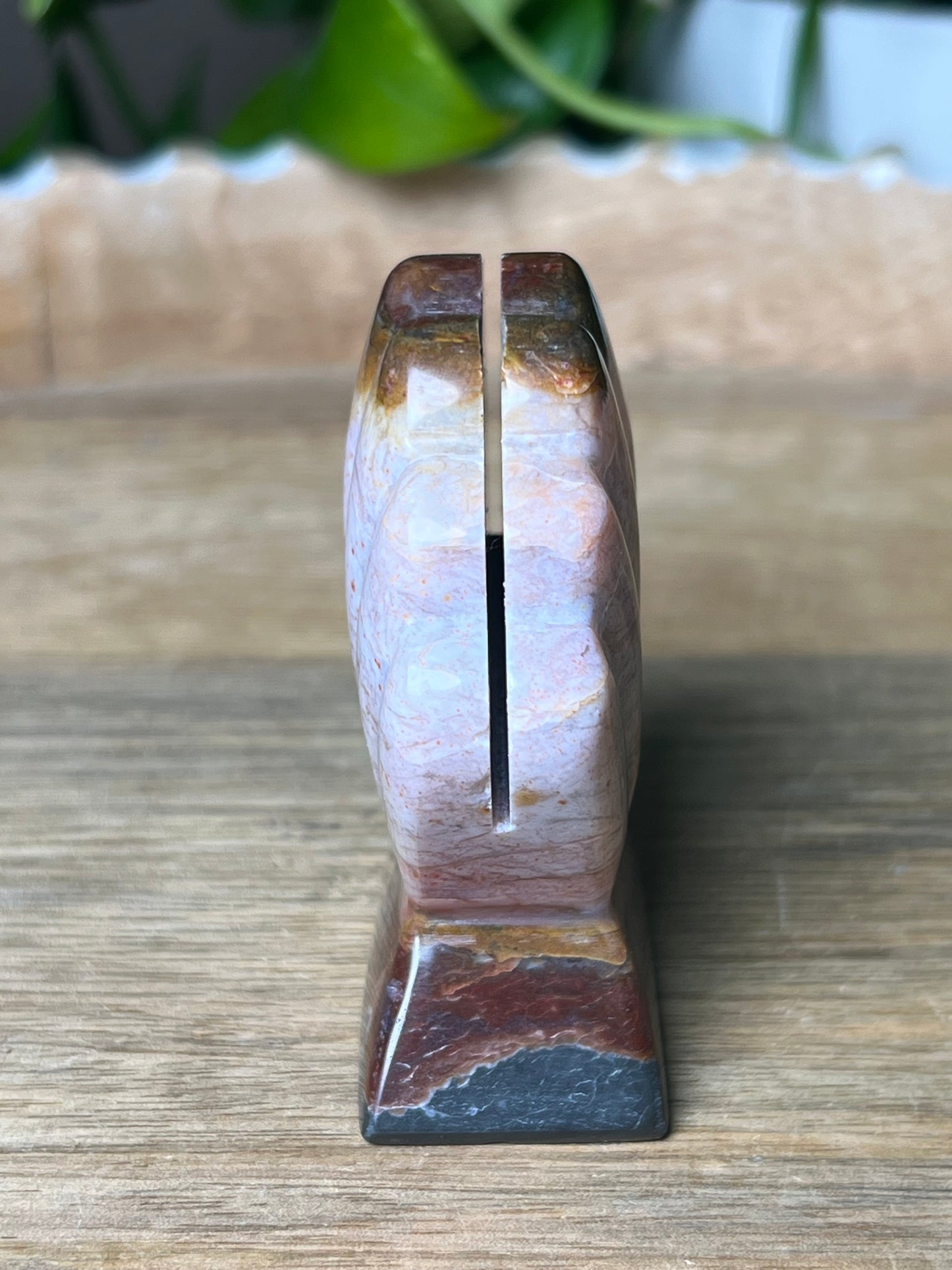 River Jasper Shell