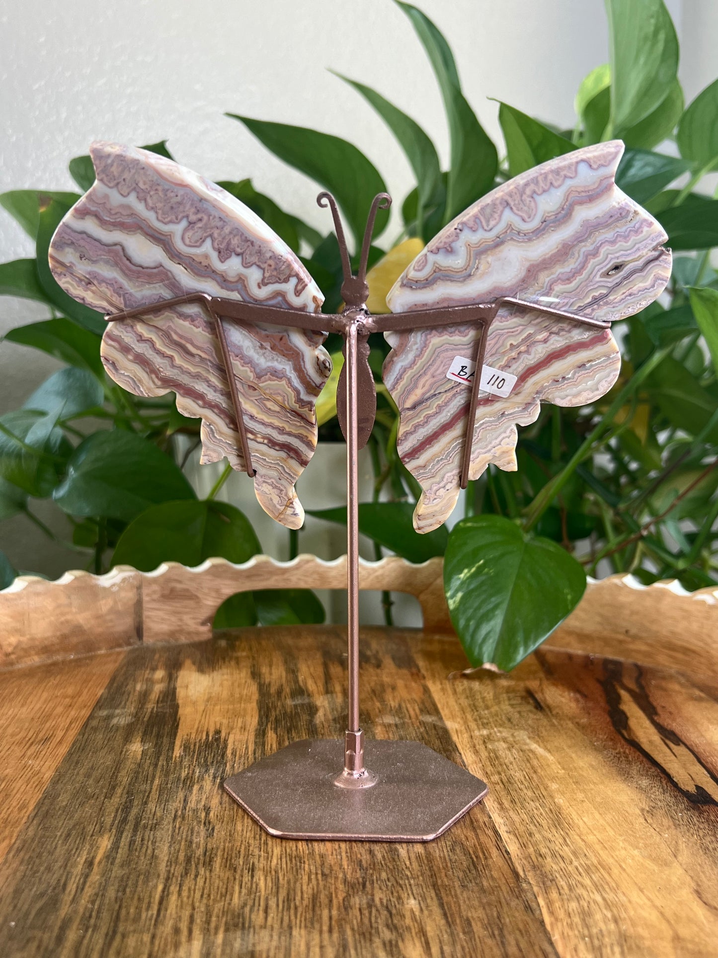 Crazy Lace Agate Wings BA