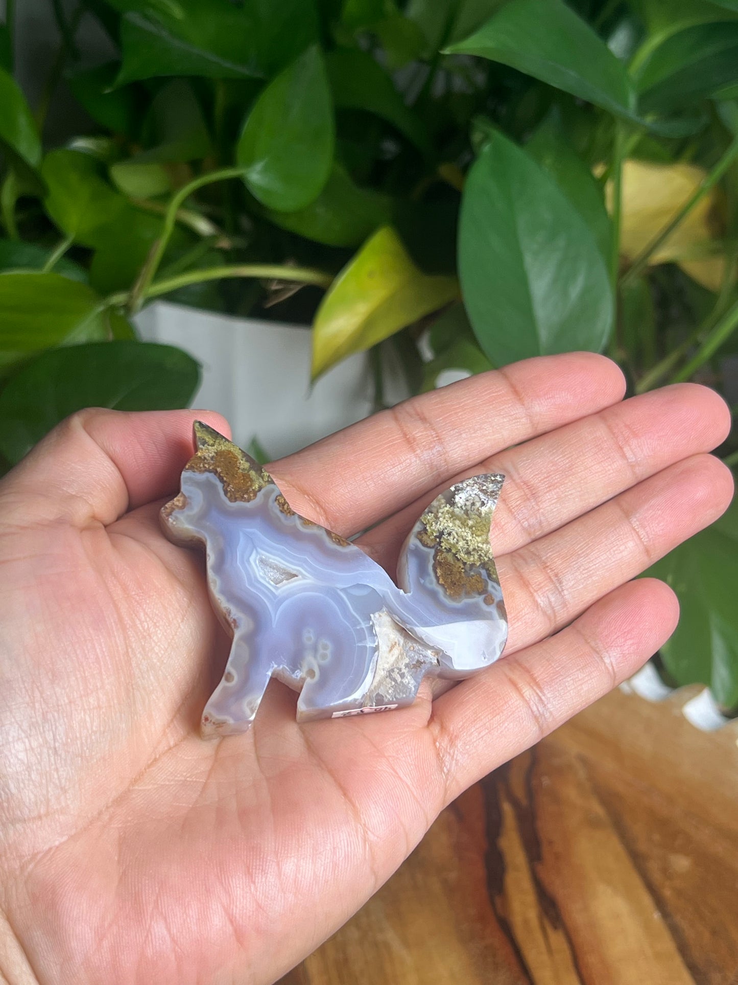 Scenic Moss Agate Fox PZ