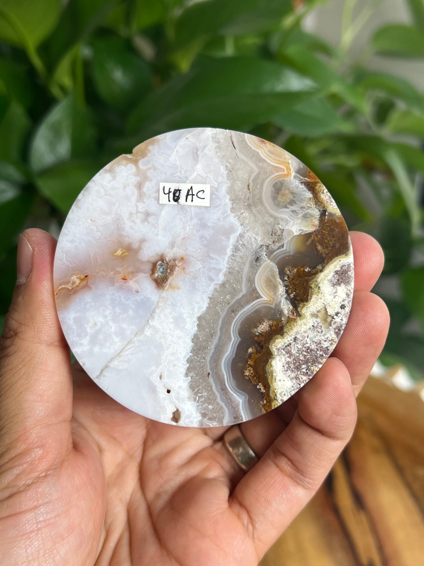 Scenic Moss Agate Coaster: AC