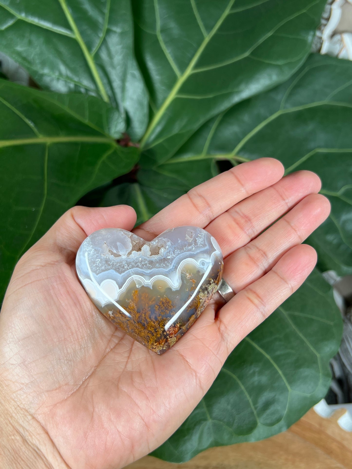 Scenic Moss Agate Heart