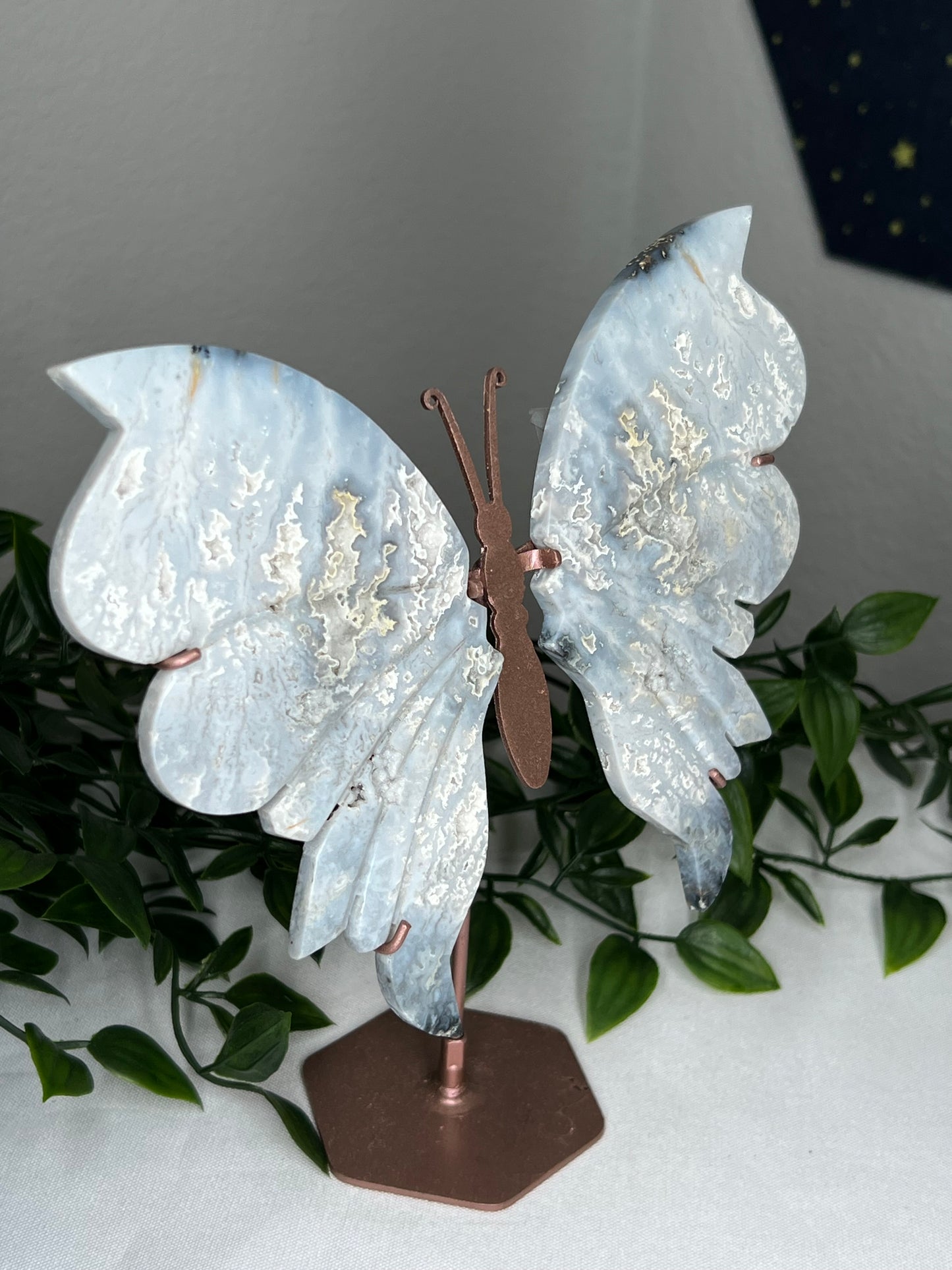 Blue Plume Agate Wings