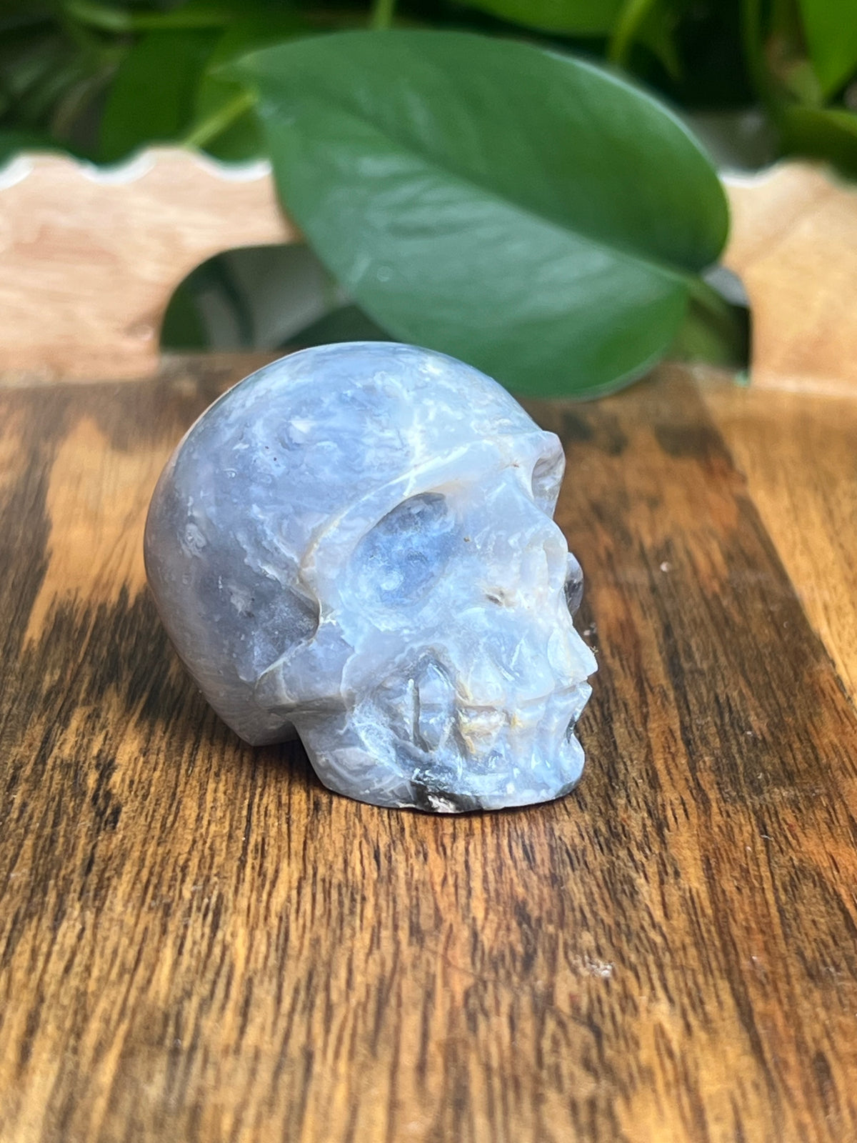 Blue Plume Agate Skull: E