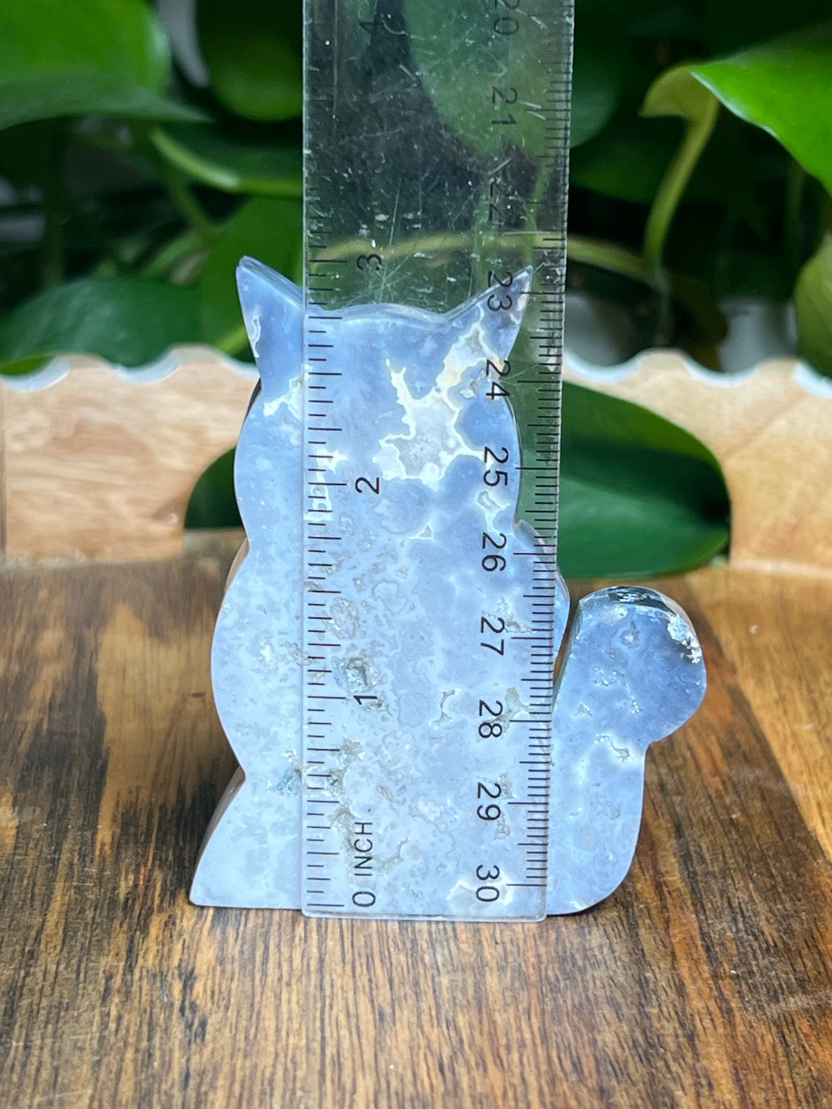 Blue Plume Agate Cat: BB