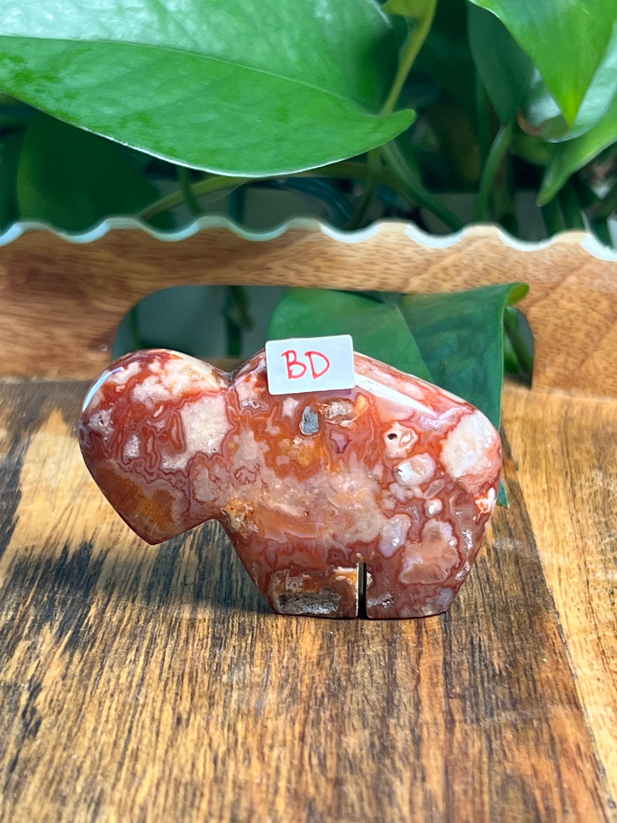 Carnelian Mini Buffalos
