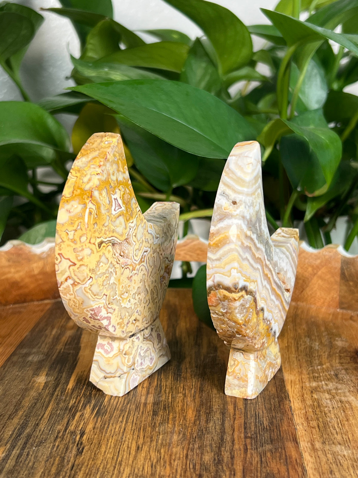 Yellow Crazy Lace Agate Self Standing Moons