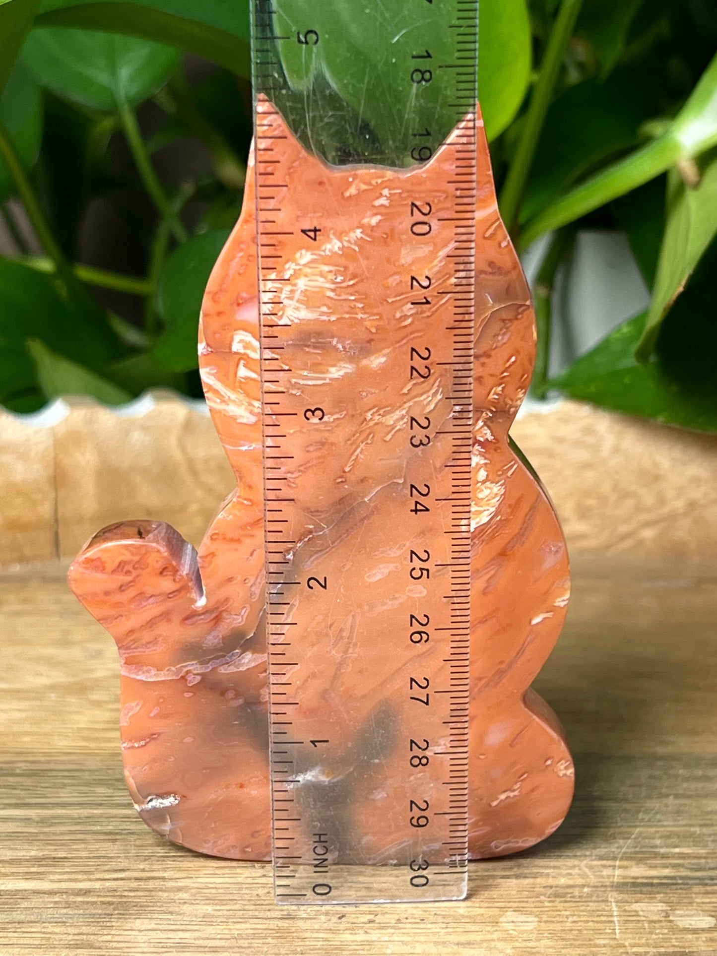 Carnelian Cat