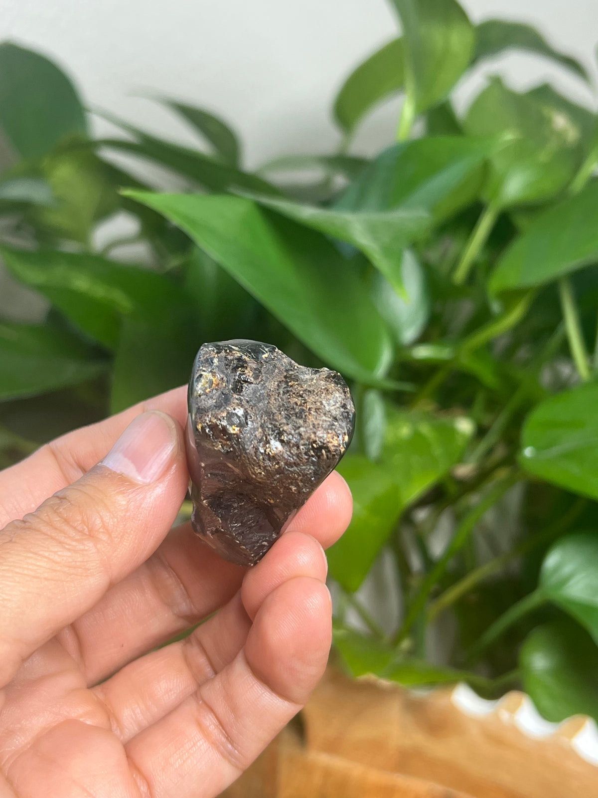 Blue Amber Freeform: SE