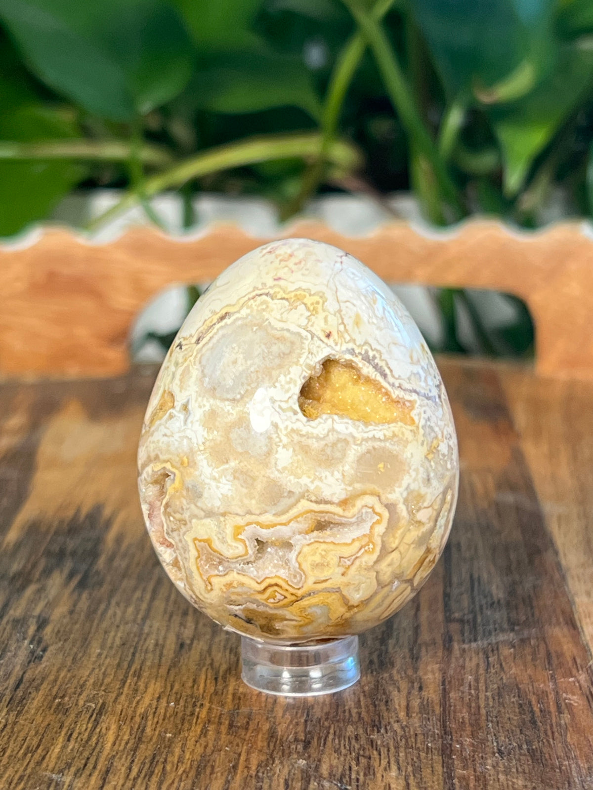 Crazy Lace Agate Egg: SA