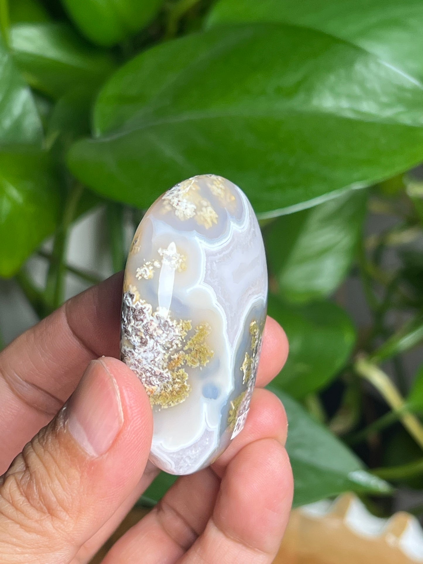 Scenic Moss Agate Palmstone: BQ