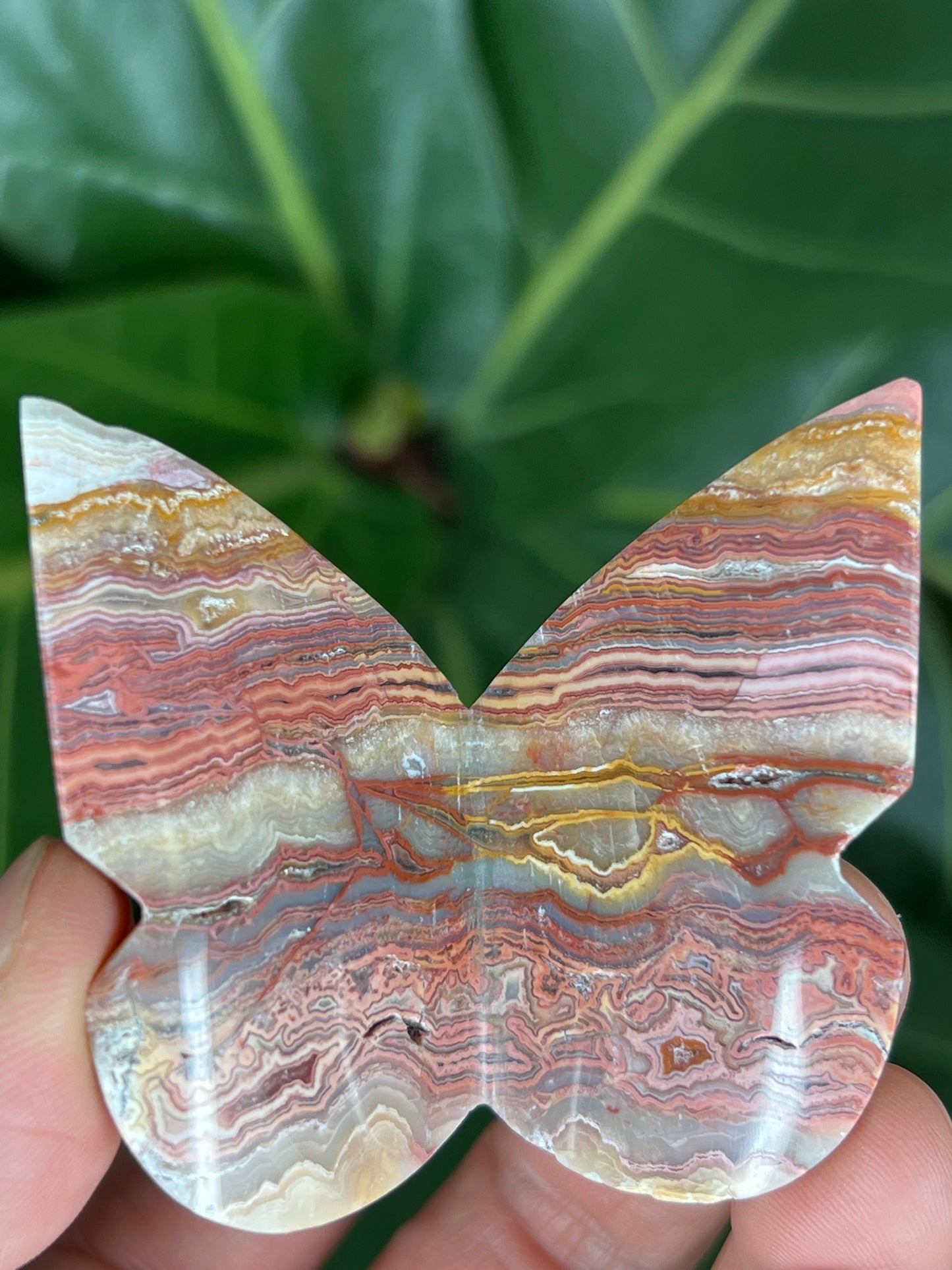 3D Butterfly Crazy Lace Agate