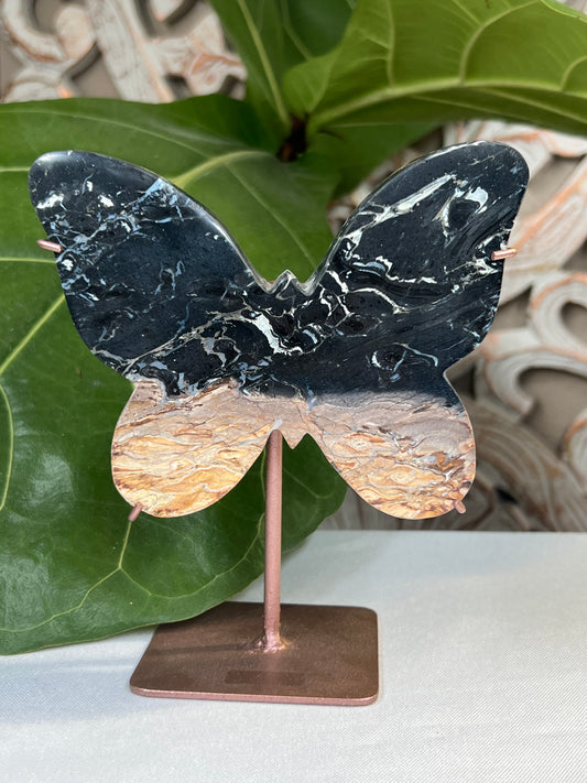 Palm Root Butterfly