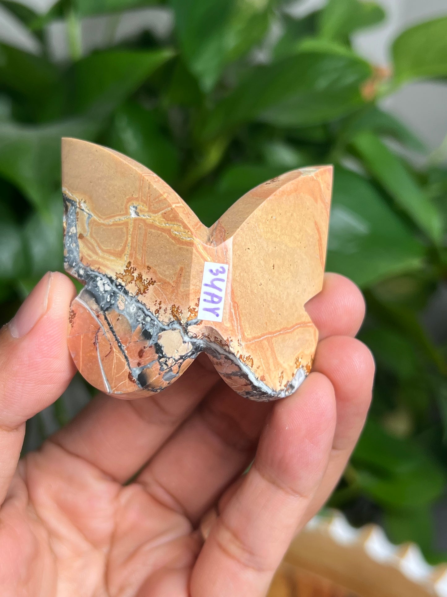 Maligano 3D Butterfly: AY