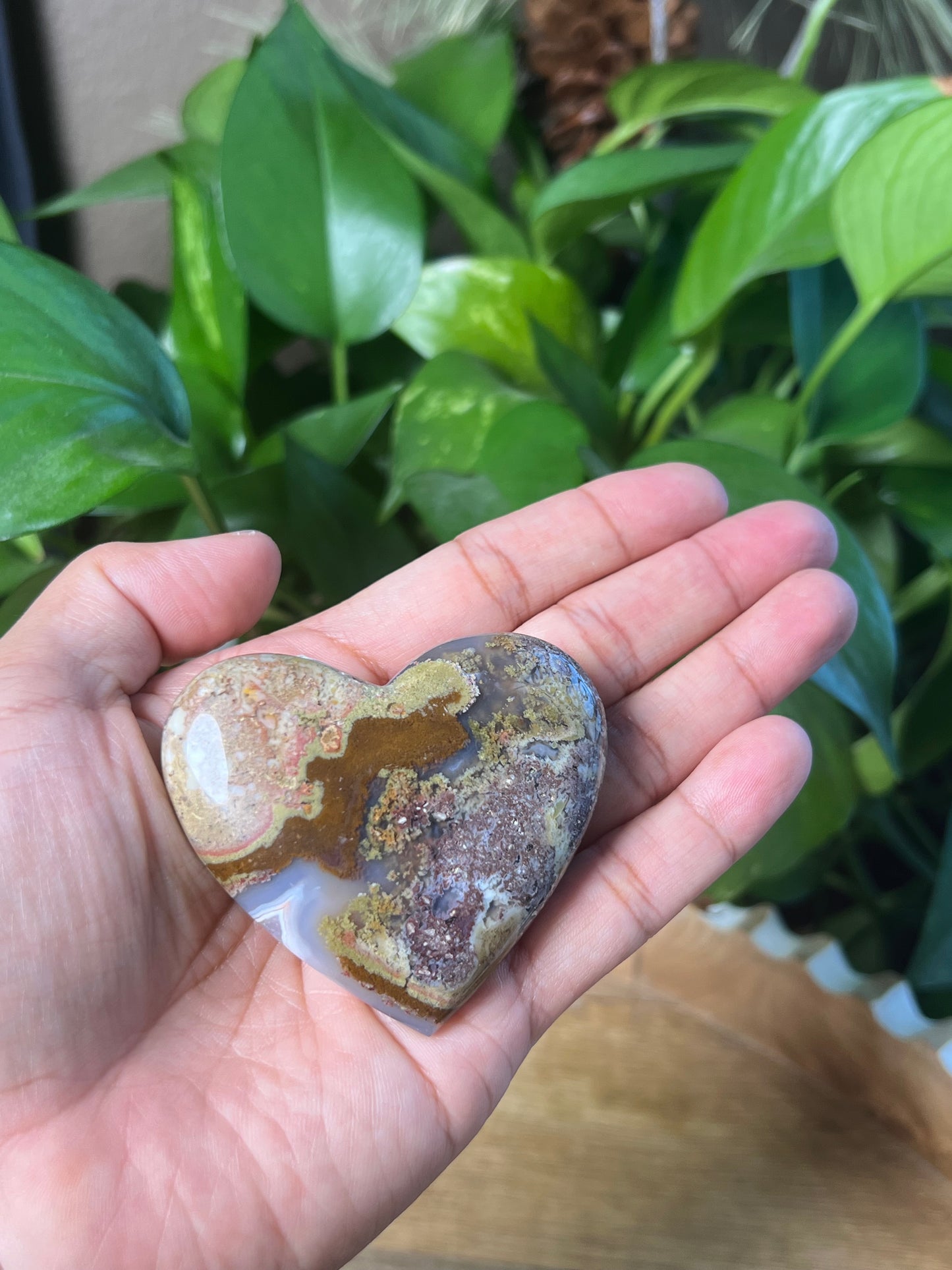 Scenic Moss Agate Heart