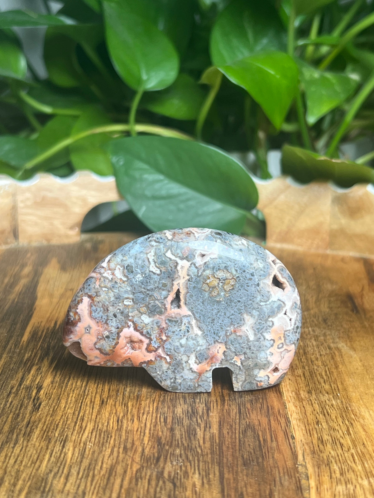 Marcasite Bear: TD
