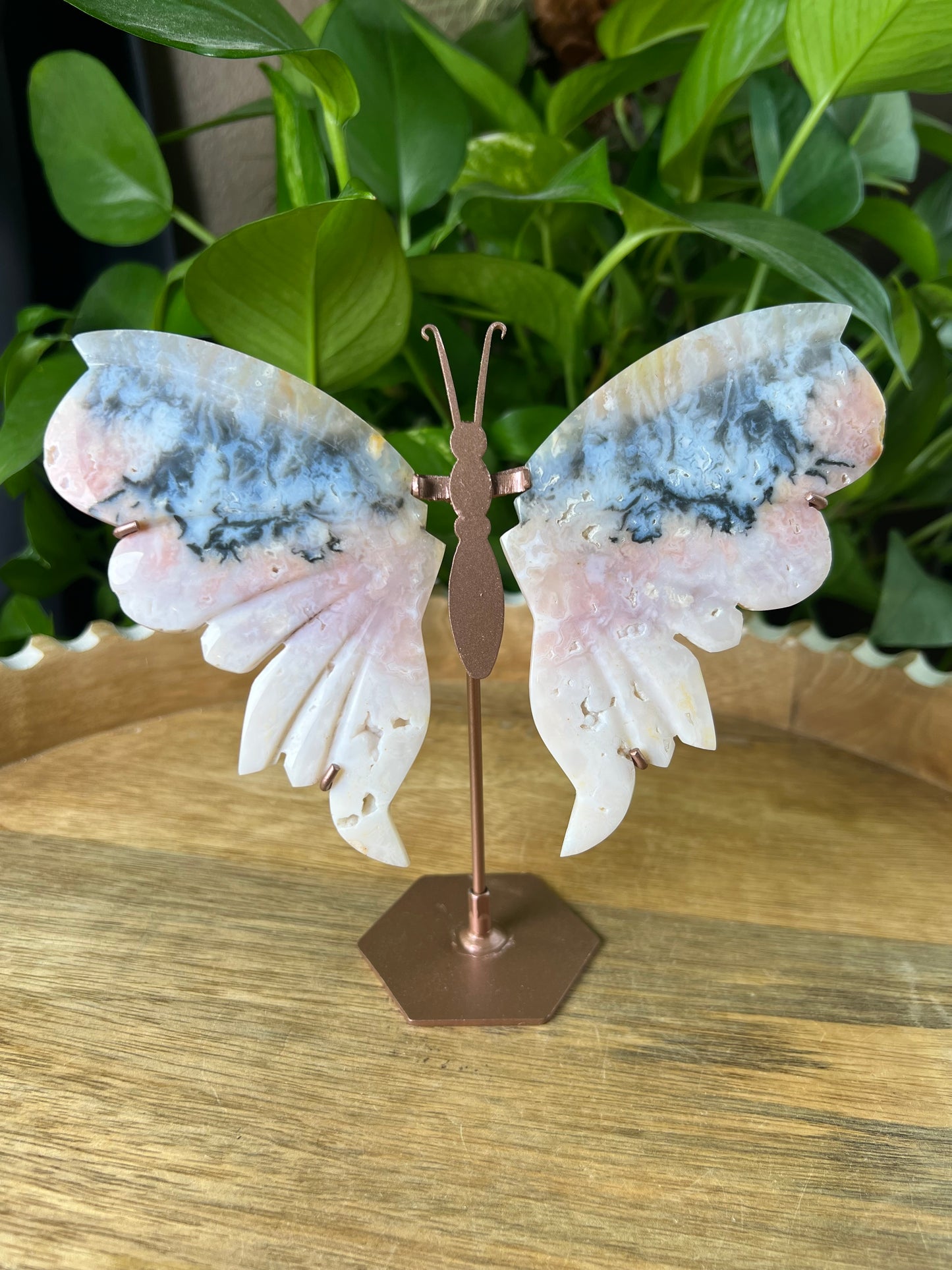 Rainbow Plume Agate Wings