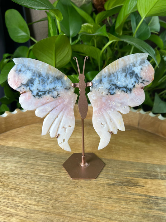 Rainbow Plume Agate Wings