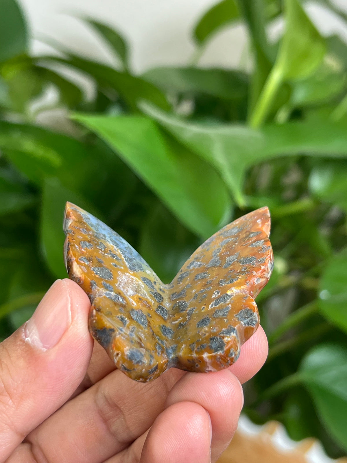 Marcasite 3D Butterfly: ME
