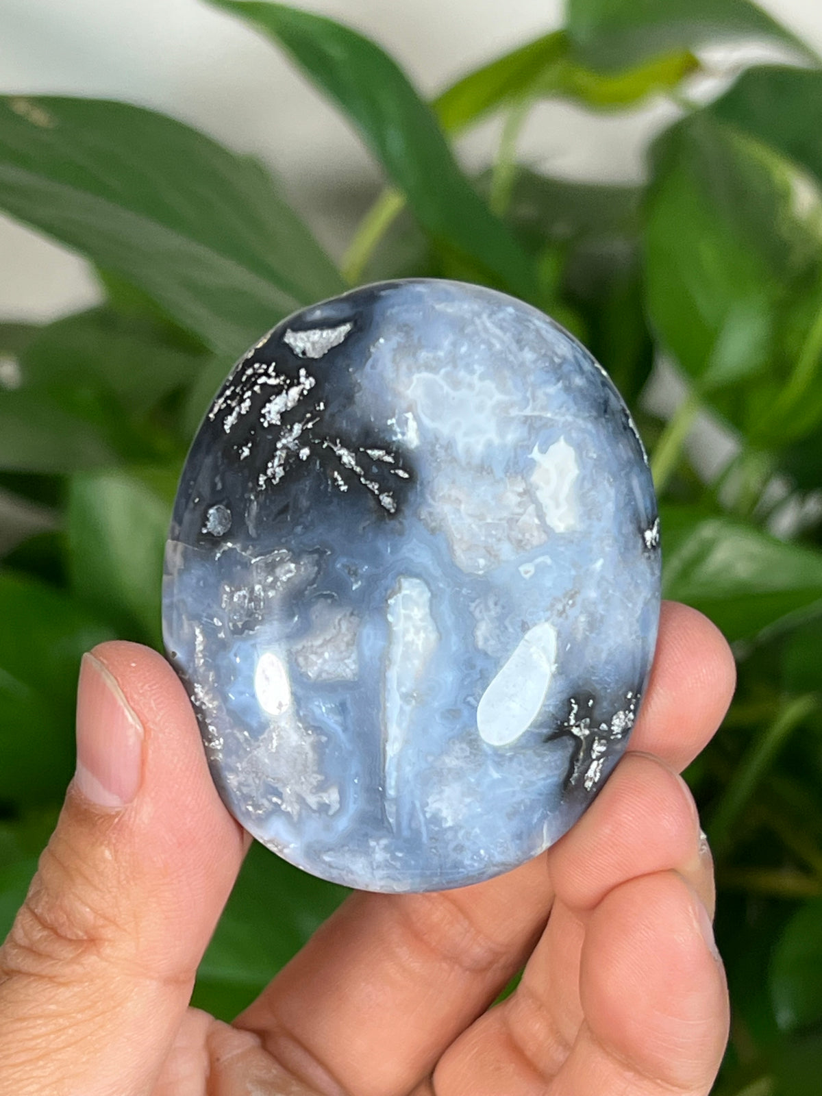 Blue Plume Agate Palmstones
