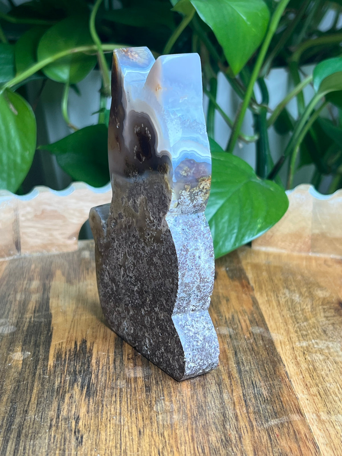 Scenic Moss Agate Cat: AE