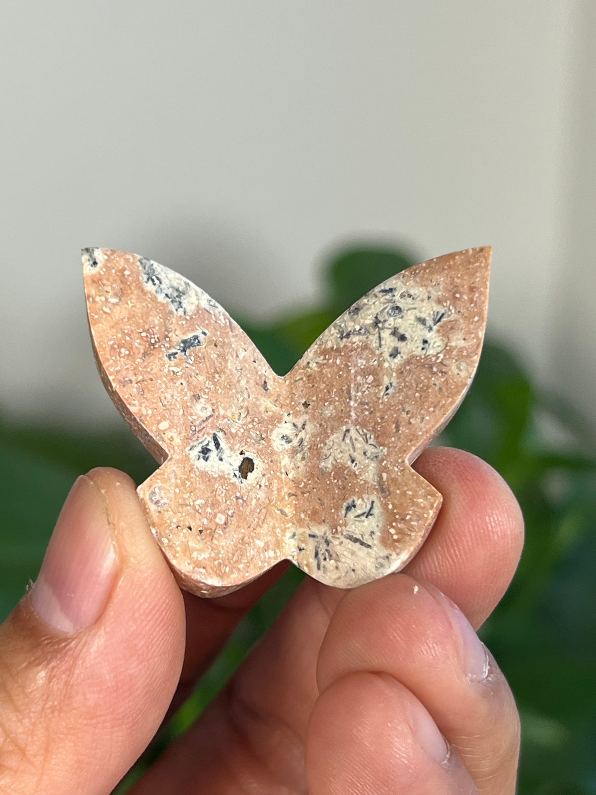 Peachy Pink Dendritic Jasper Mini 3D Butterflies