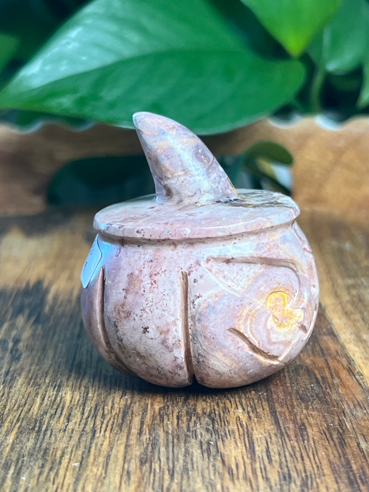 Pink Polycrome Pumpkin: G