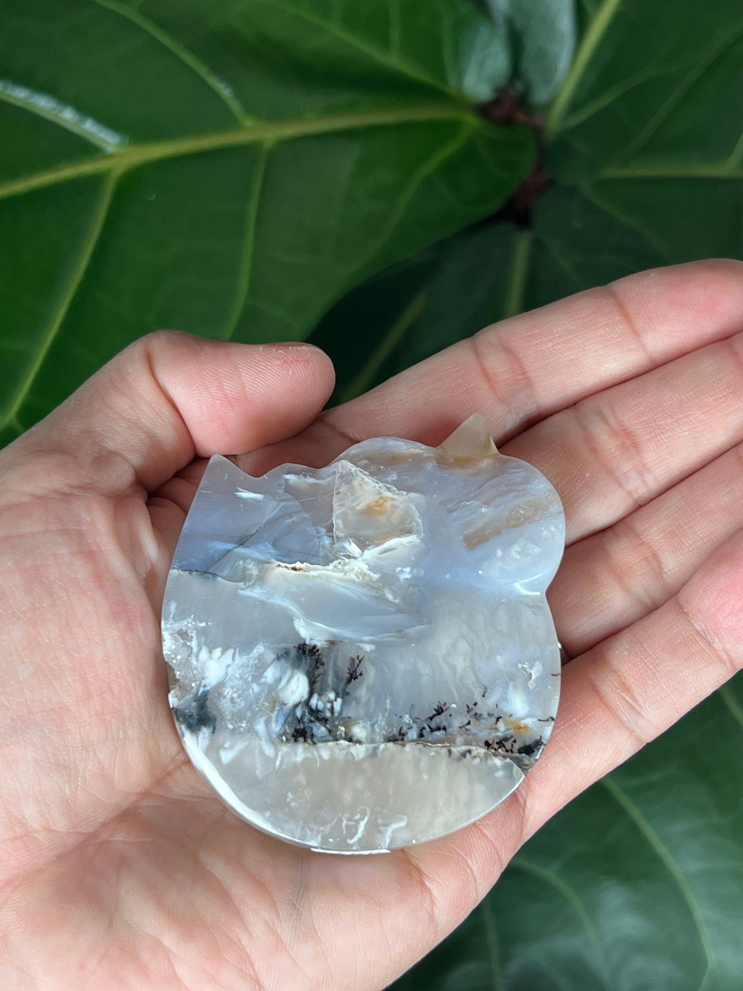 Tiger Dendritic Agate Cat