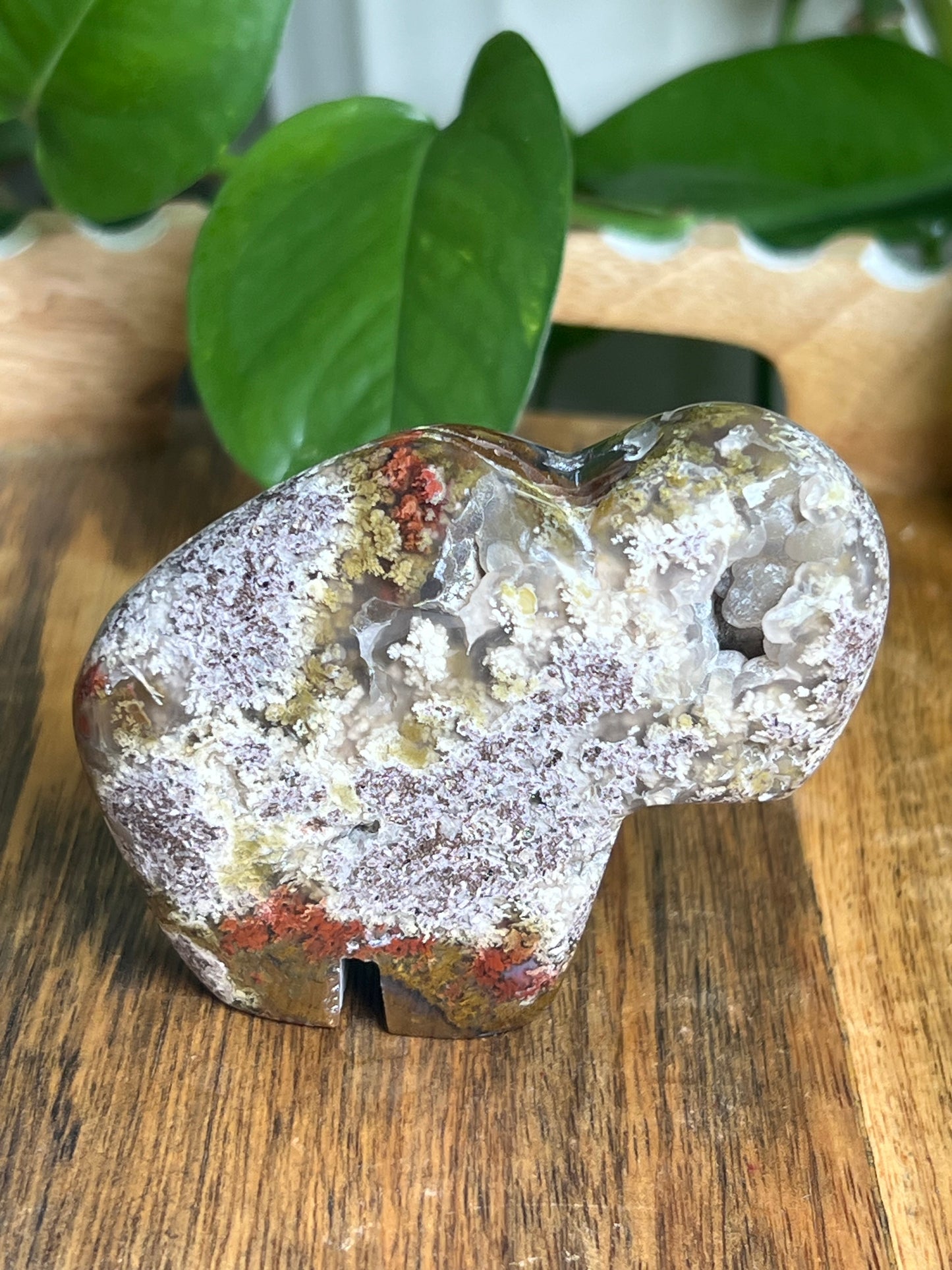 Scenic Moss Agate Buffalo NA