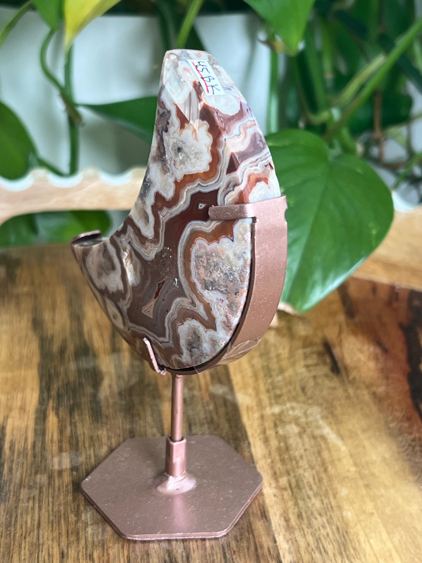 Crazy Lace Agate Moon BK