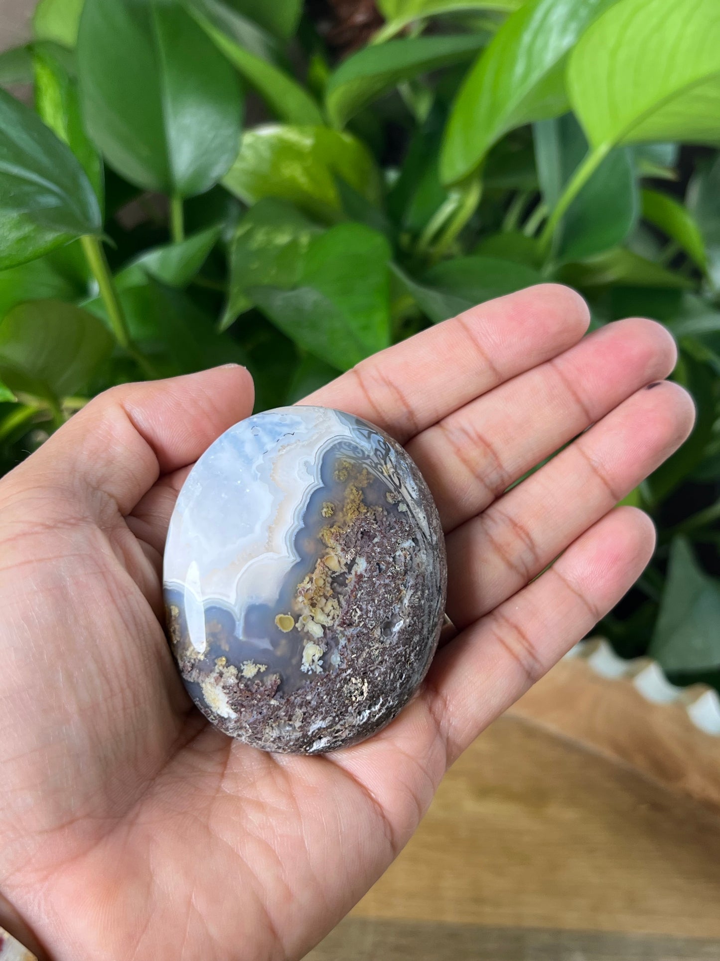 Scenic Moss Agate Palmstone