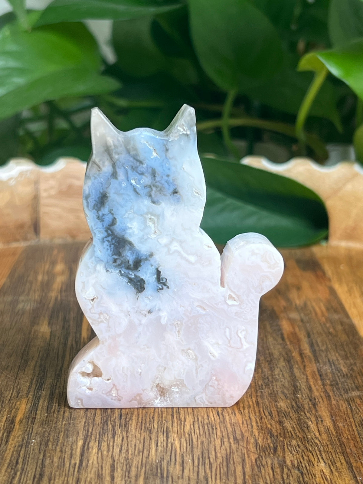 Rainbow Plume Agate Cat: NN