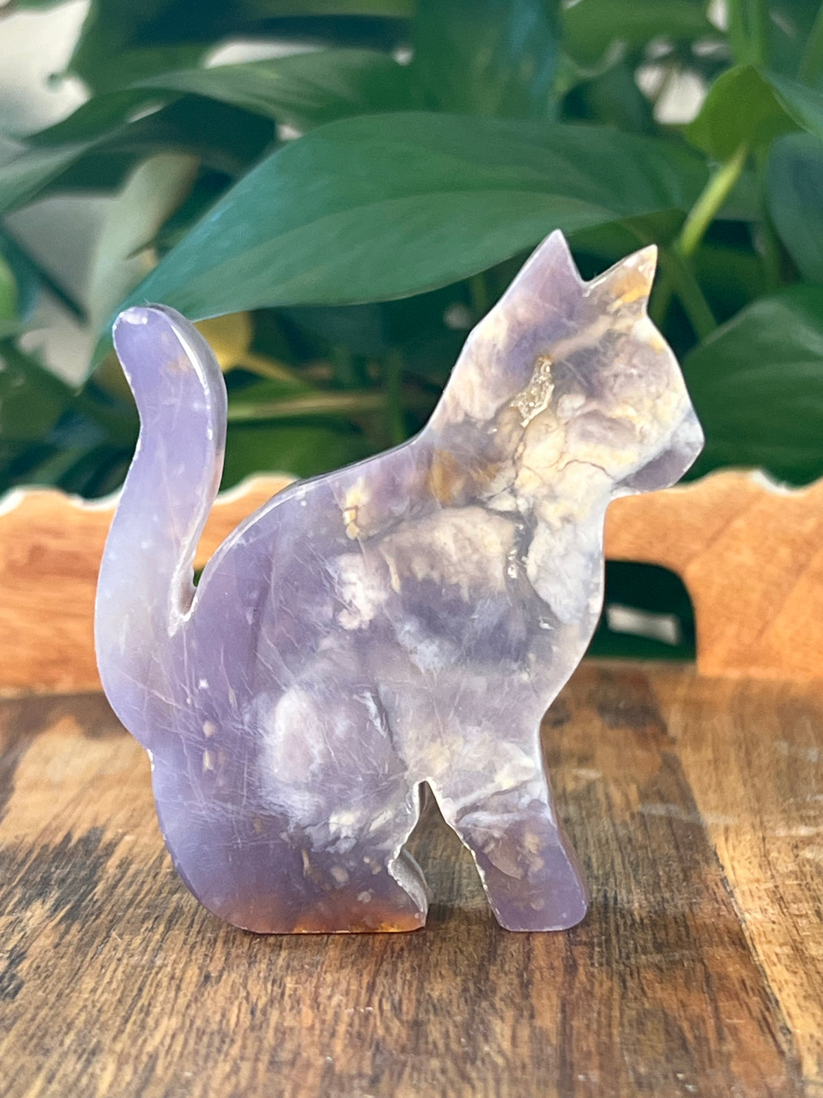 Purple Chalcedony Cats